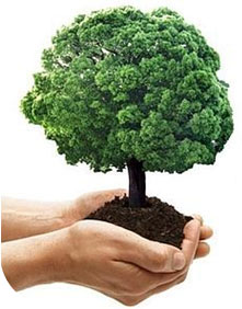 Iso14001